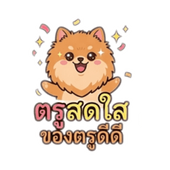 Pony Toomtam 2569