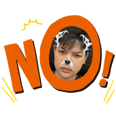 INGjub_20260407231402