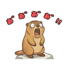 Adorable Himalayan Marmot Stickers