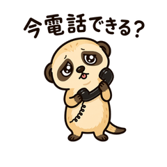 Ugly Cute Meerkat Daily Reactions