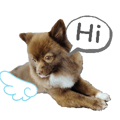 Char Pom_20260408021601