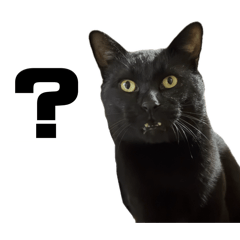 cyamu_20260408135202