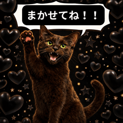 Dark Chocolate Havana Brown Cats