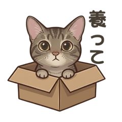 Toraneko no nichijyo 1-Japanese version