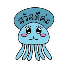 Cotton_20260408120709