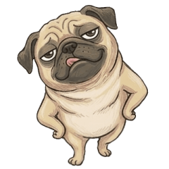 憨吉狗勾★有點意思