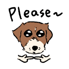 金剛虎家族 jack Russell