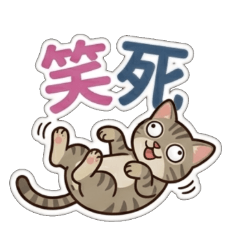 tufee摩卡小貓咪的日常問候