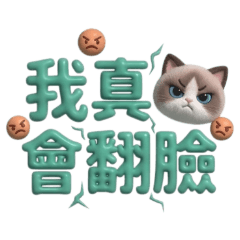 ★布偶貓氣球大字★ 我真的會翻臉