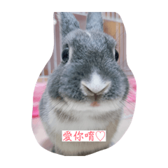 我叫小豬崽❤️