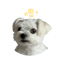 水餃表情大全包 ver.1