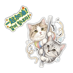 圓仔夢夢的鋼管生存記｜오늘도 도는 고양이