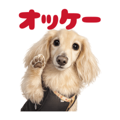 DOG STAMP ORDER_20260408083230