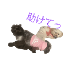 Kokoko_20260408101420