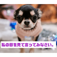 Sahito99_20260407175344