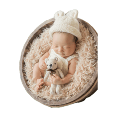 sakura_20260407175725