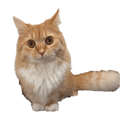 (=^x^=)_20260407180054