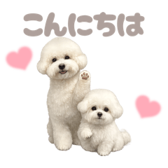 DOG STAMP ORDER_20260408105105