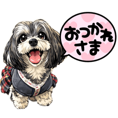 KuuSoraUta_20260407224730