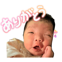 akarinrin_20260408114328