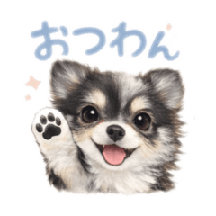 Yurie_20260408115945