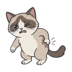 Expressive Ragdoll Kitty (No Text)