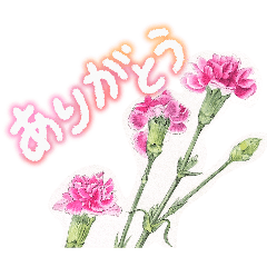 Botanical illustration stamps