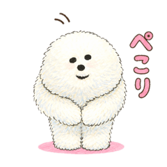 TAMMY_20260407184003