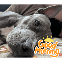 shinju_20260407184012