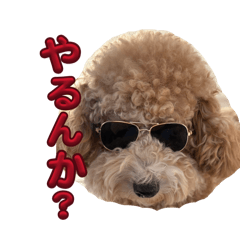 Flexxx_20260407184129