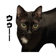 l09640_20260408103340