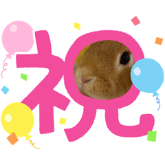 usahiyo1106_20260408080825