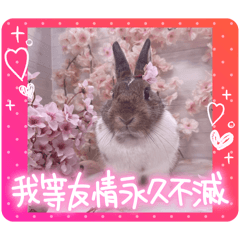 usahiyo1106_20260408081828