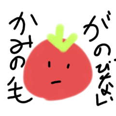 tomato_20260408145436