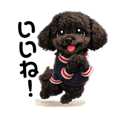 achamiiy_20260408150746