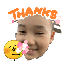 Animal stamps_20260408152214