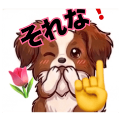 camel caw_20260408155017