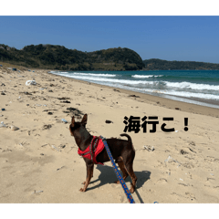 REIRA_20260408154613