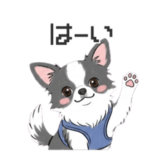 achamm_20260408155556