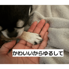 Nemuihito_20260408155956