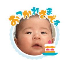 koyamu_20260408154545