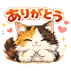 calico cat miura