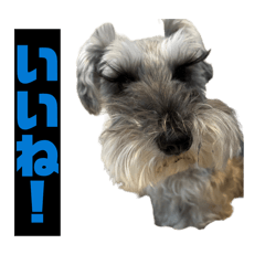 keito_20260407184925