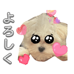 Makokenn9_20260408162816