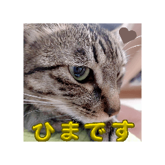 runrun_20260407190022