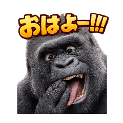 gorira_20260407191806