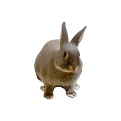 mokomithi_20260407192922