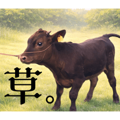 chikako_20260407193420