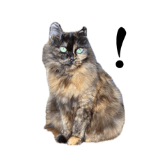 maiko_20260407193521