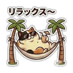 No cat No life_No,10